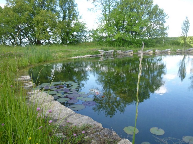 Laburgade - Lavoir de l'Escalié 