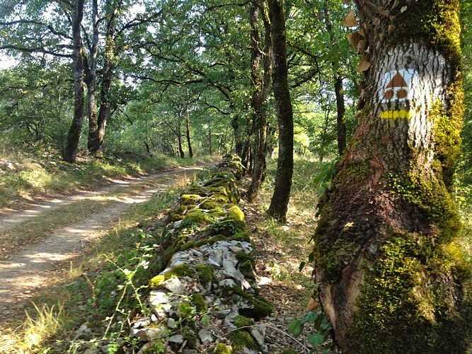 Chemin Autour du Mas