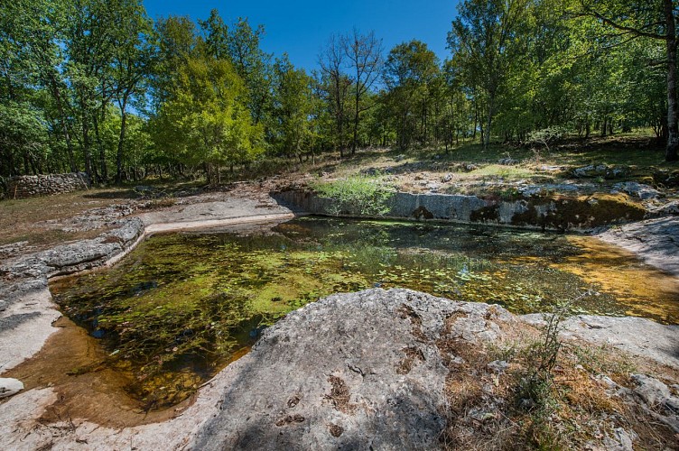 Lac du Trébou © Lot Tourisme - C. ORY