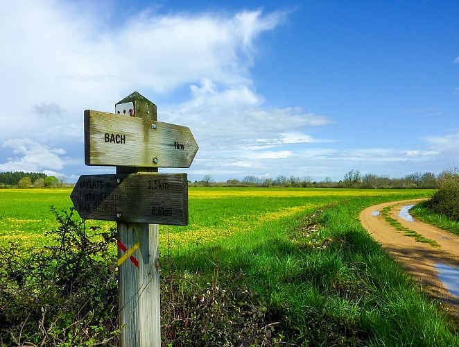 Poffy - Signalétique devant un champ de colza © Lot Tourisme - C. Sanchez