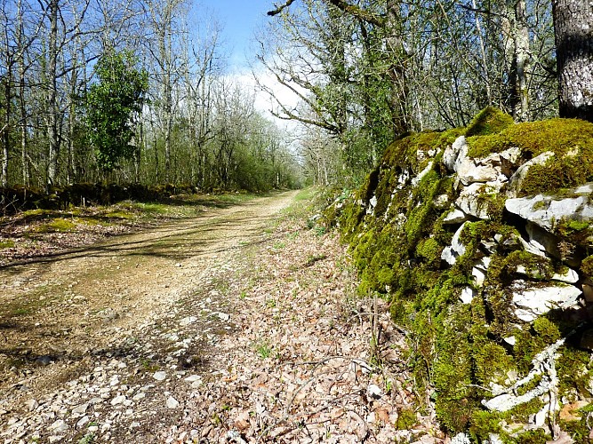 Chemin passant par le pech del Piatzé © Lot Tourisme - C. Sanchez