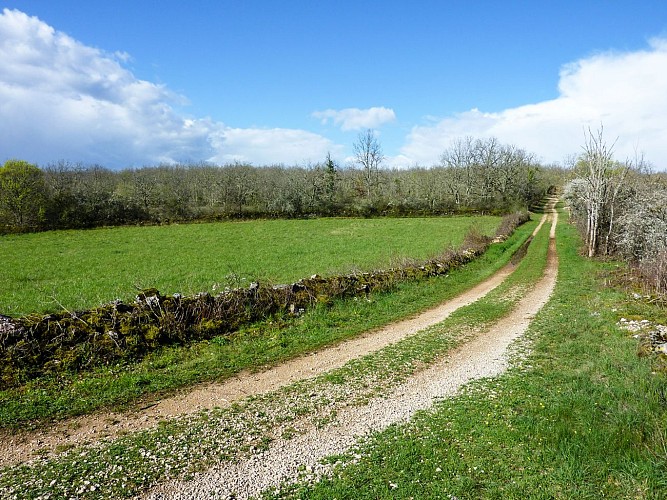 Escabasse - Chemin de castine longeant la clairière  © Lot Tourisme - C. Sanchez