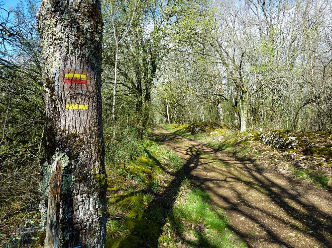 Chemin passant par le pech del Piatzé © Lot Tourisme - C. Sanchez