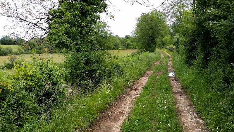 _11 © Lot Tourisme - C. Sanchez