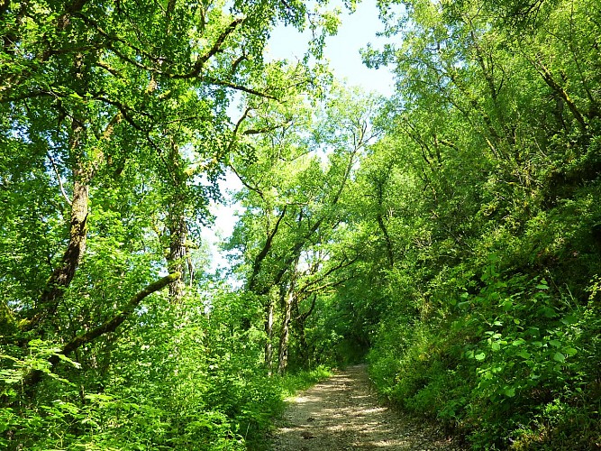 Balade sous le Bois de Vaillague_01 © Lot Tourisme - C. Sanchez