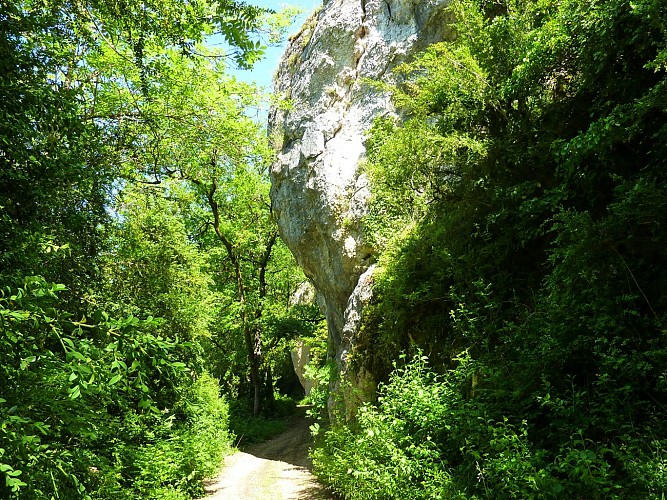 la Carderie  - Sous le Combe du Drap_02 © Lot Tourisme - C. Sanchez