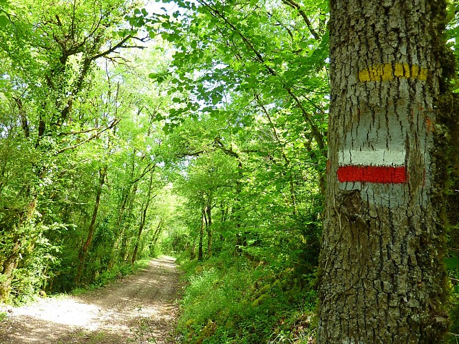 Marty - Randonnée sur le GR _04 © Lot Tourisme - C. Sanchez