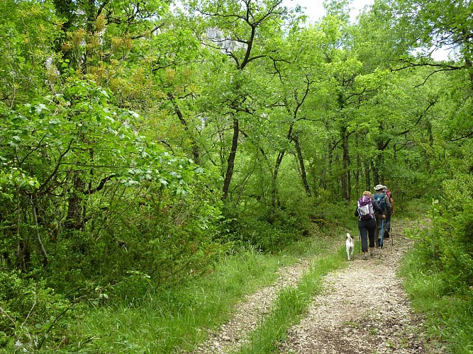 Marty - Randonneurs sur le Roc de Colonjat_06 © Lot Tourisme - C. Sanchez