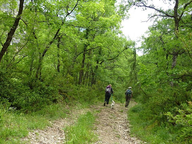 Marty - Randonneurs sur le Roc de Colonjat_07 © Lot Tourisme - C. Sanchez