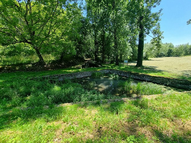 240605_Lavoir