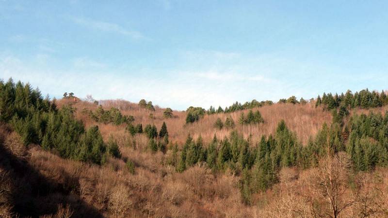Les balcons de la Corrèze