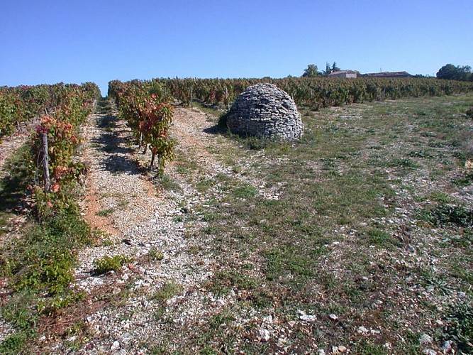 Trespoux Rassiels : Abri en Pierres Sèches sur le Vignoble