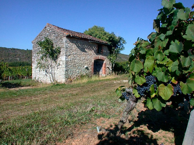 Maison de Vigne