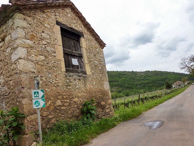 06le Chai -Cabanne de vignes© Lot Tourisme - C. Sanchez