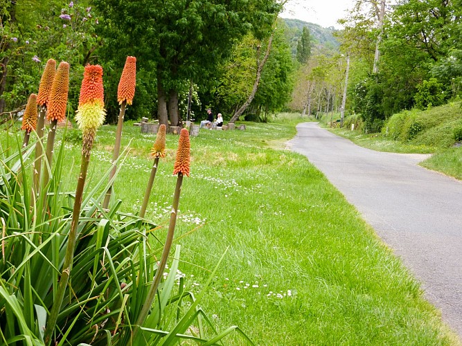 07la Révolte - "Lianes de feu" sur les berges de Lot © Lot Tourisme - C. Sanchez