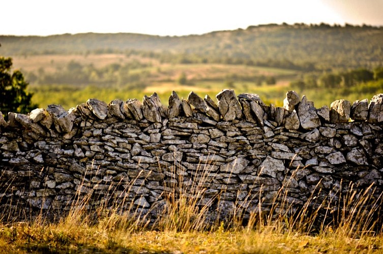 Muret sur le Causse