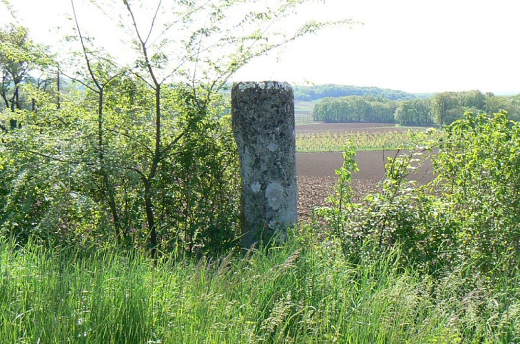 Mayrac - La Pierre Plantée