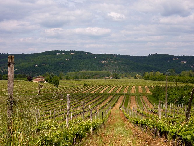 03Labrande -  Entre vignes et vallée© Lot Tourisme - C. Sanchez