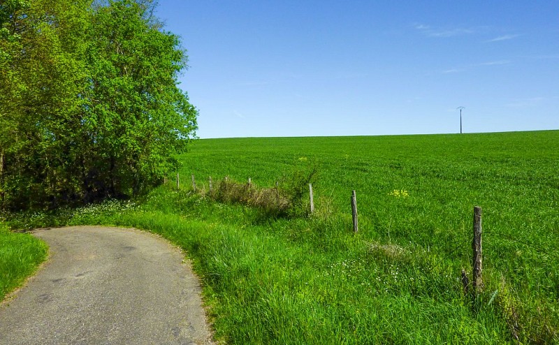 Champ à la Combe de Prionde © Lot Tourisme - C. Sanchez