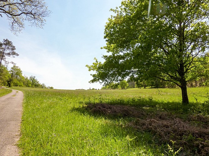 07Estanels - Grandes étendues© Lot Tourisme - C. Sanchez