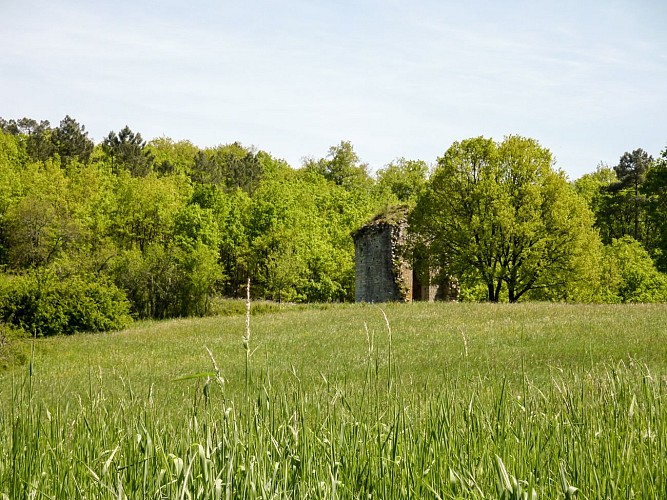 10Lherm - Ruines d'anciennes habitations © Lot Tourisme - C. Sanchez