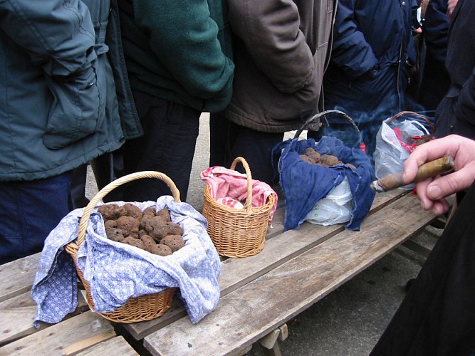 Lalbenque - Marché aux Truffes 