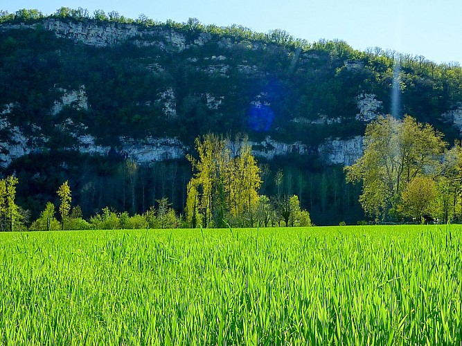 Teulière - Grandes étendues verdoyante © Lot Tourisme - C. Sanchez