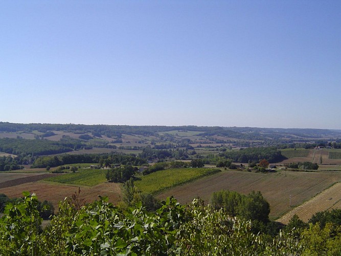 Saux - Vue sur le Vignoble de Cahors 