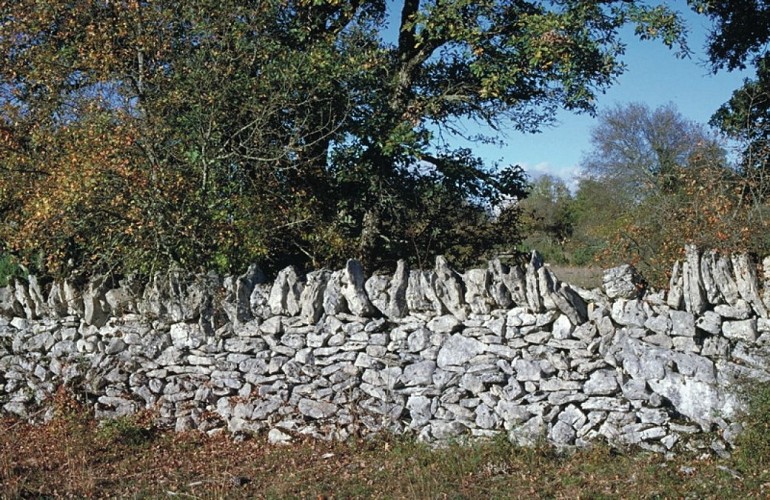 Chemin empierré proche de Padirac