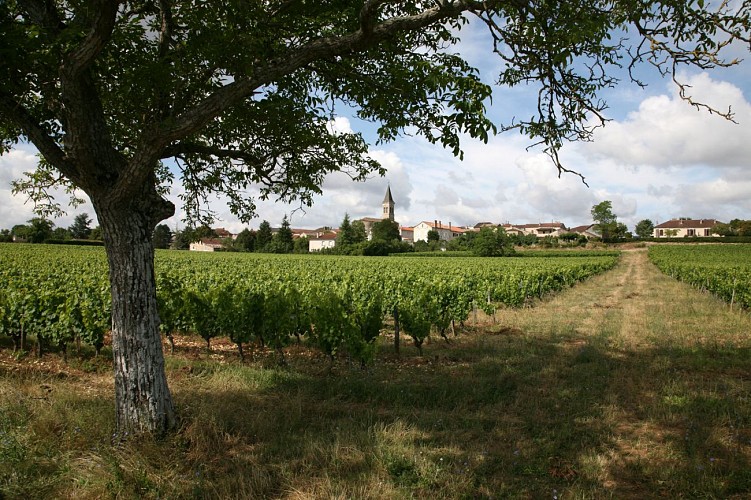 Sauzet - Vue du Village  