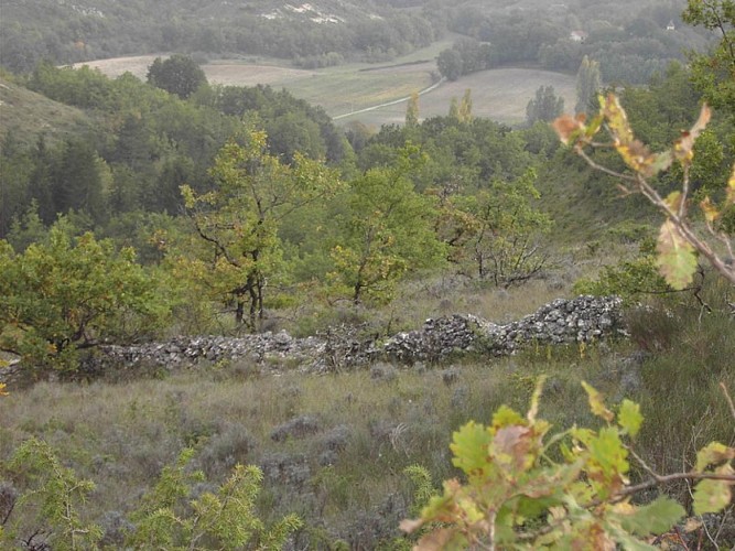 Sur les Hauteurs du Quercy blanc 