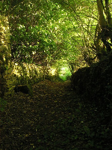 Cavagnac : Passage en sous Bois