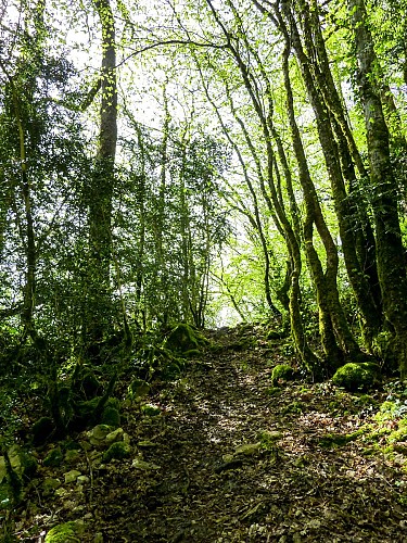 Le Roc - Montée sur le roc des Monges © Lot Tourisme - C. Sanchez