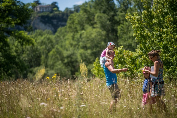 Cueillette de fleurs sauvages - ENS de Floirac_06 © Lot Tourisme - C. ORY