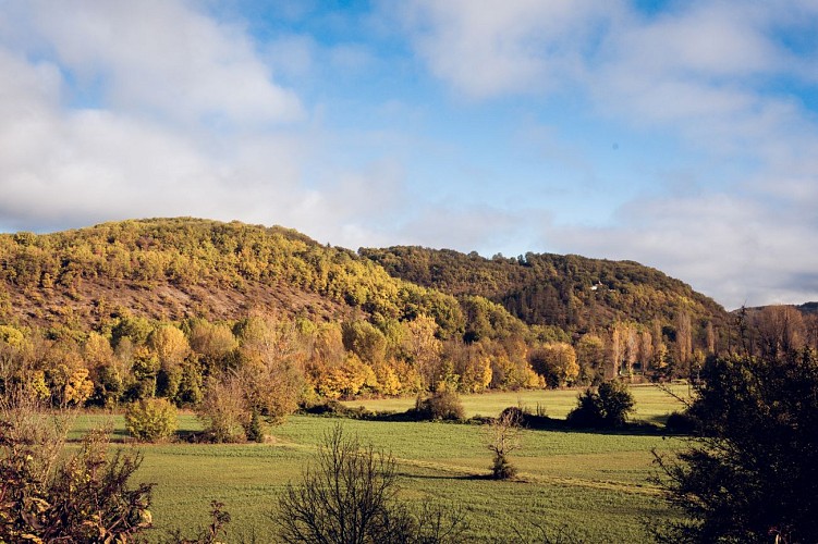 Balade dans les bois en automne