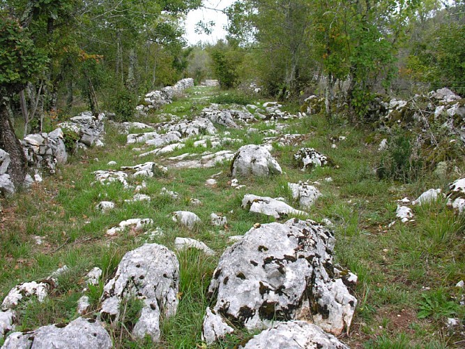 Lapiz au Coeur du Parc Naturel Régional des Causses du Quercy