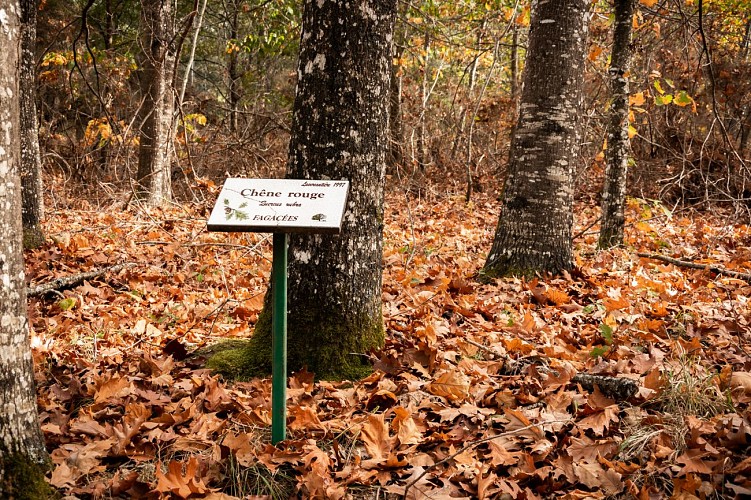 ENS des Landes du Frau
