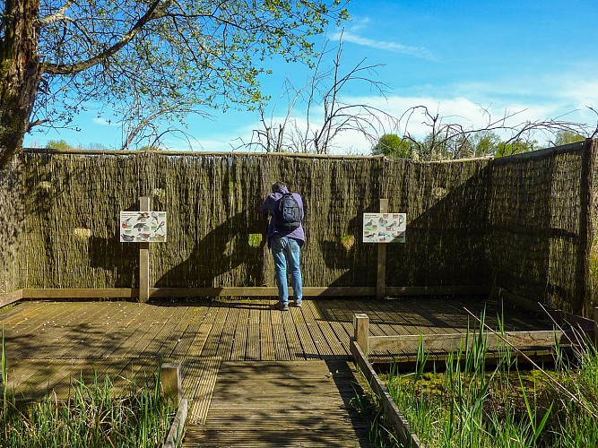 Marais de Bonnefont - Postes d'observations © Lot Tourisme - C. Sanchez