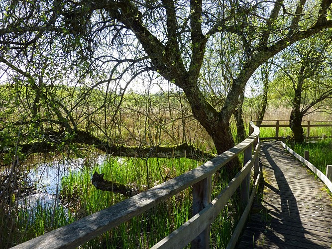 Marais de bonnefont - Mayrinhac-Lentour © Lot Tourisme - C. Sanchez