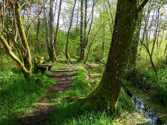 Mrais de Bonnefont - Pause le long du ruisseau  _13 © Lot Tourisme - C. Sanchez