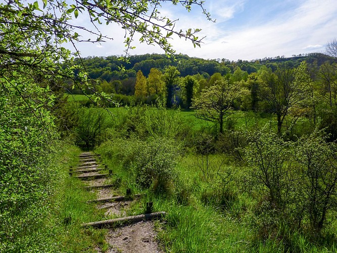 Marais de Bonnefont - Marches aménagées © Lot Tourisme - C. Sanchez