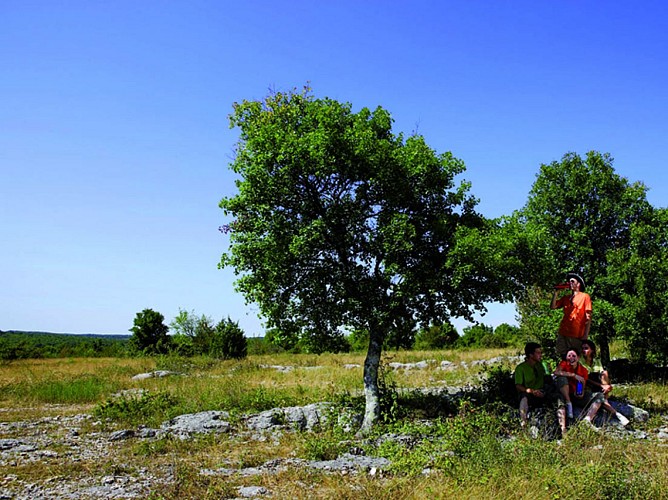 Sur le Causse d'Issendolus 