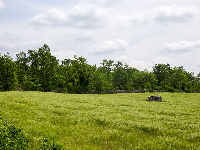 03Ferrieres haut- Cabanne au milieu champ de blé  © Lot Tourisme - C. Sanchez
