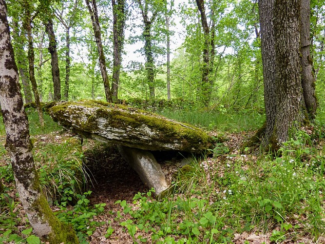 05Dolmen du Bois de Beauregard  © Lot Tourisme - C. Sanchez