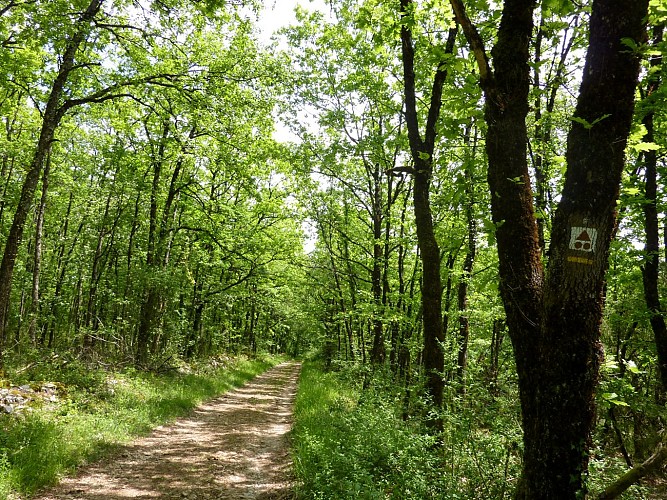 08Bois de Beauregard  © Lot Tourisme - C. Sanchez