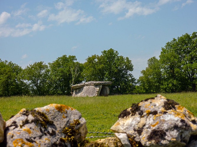 Dolmen du Custalou _08 © Lot Tourisme - C. Sanchez