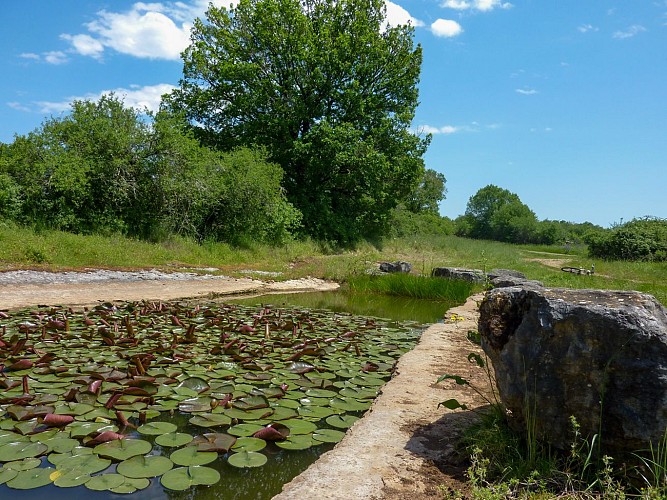 Lac de Lapeyre_06 © Lot Tourisme - C. Sanchez