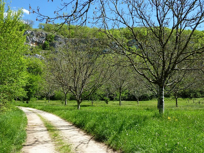 Bourgnou - Noyers sur le causse_10 © Lot Tourisme - C. Sanchez