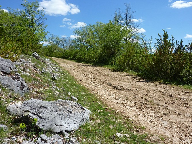 la Borie Sèche - Chemin caillouteux sur les causses_15 © Lot Tourisme - C. Sanchez