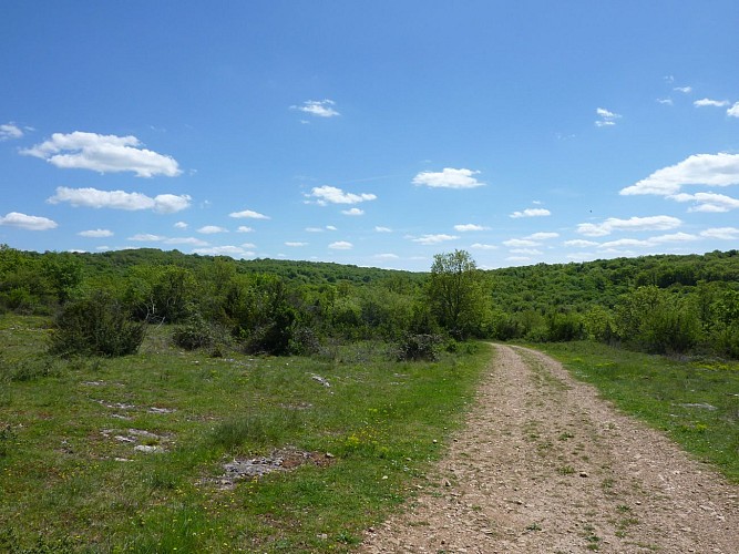 La Borie Sèche - Plateau du Pech de Lacave_16 © Lot Tourisme - C. Sanchez